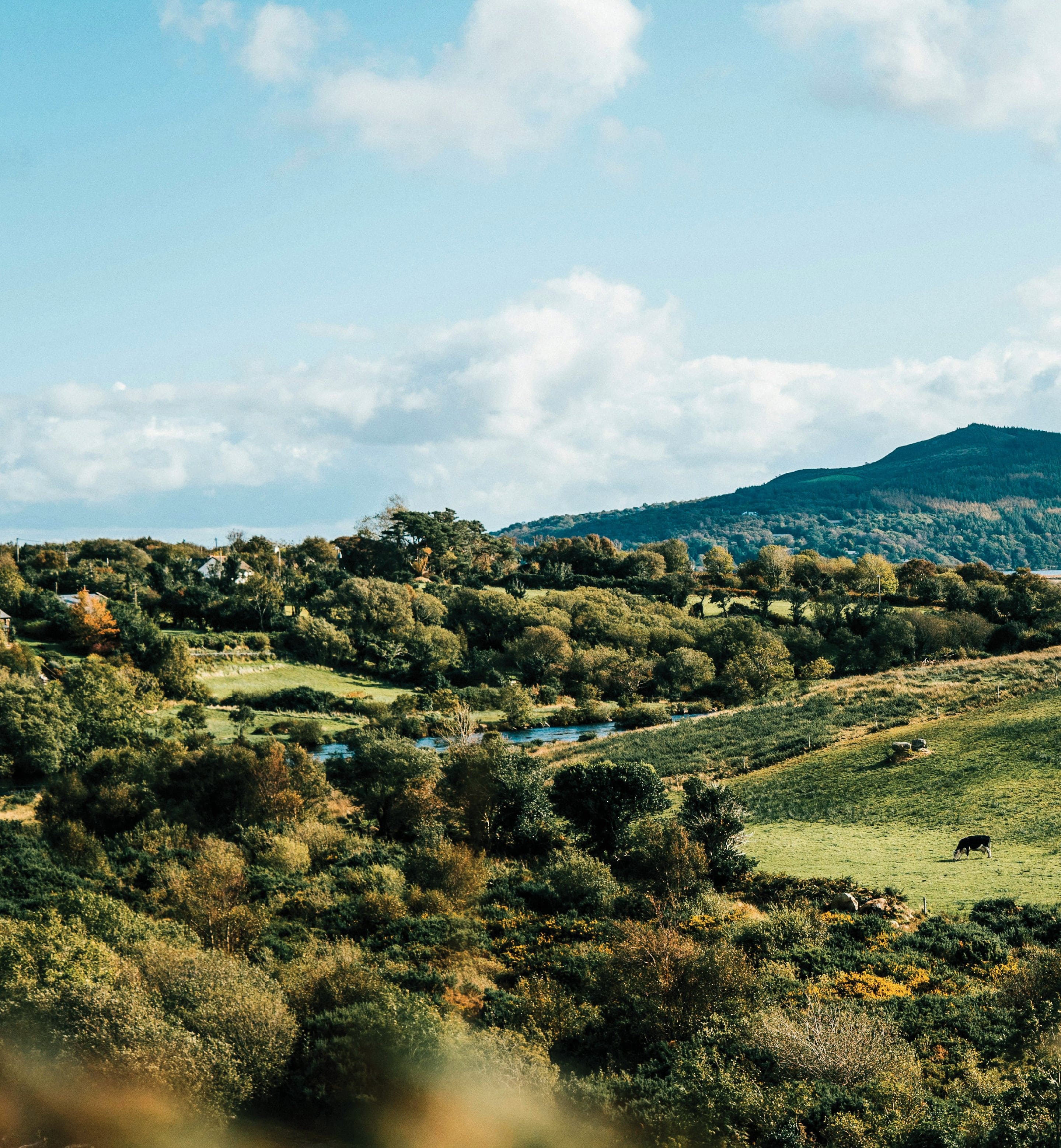 Unmatched Green Views